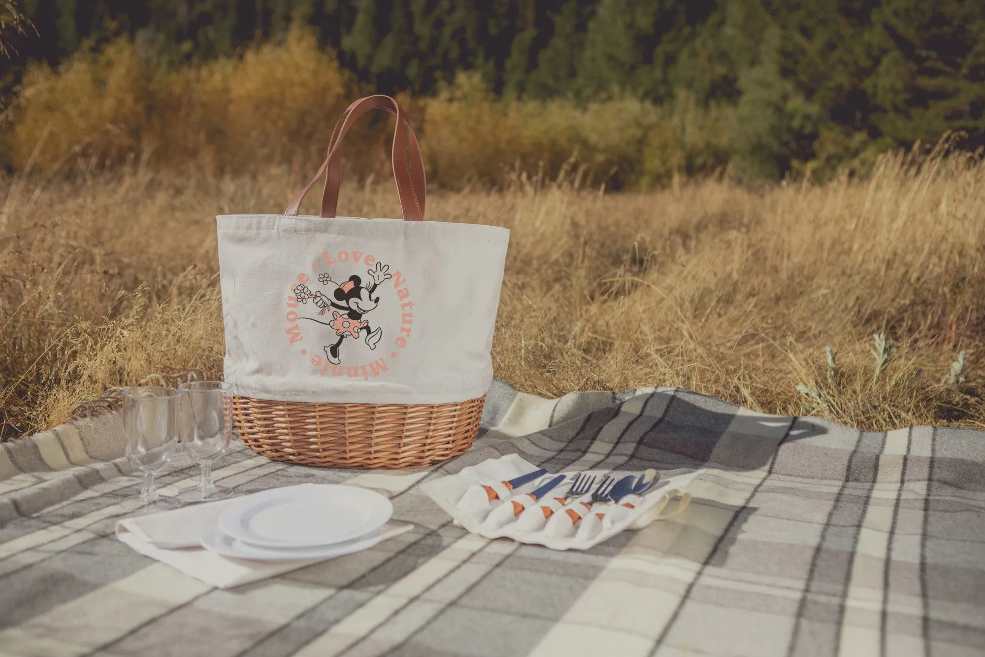 Minnie Mouse - Promenade Picnic Basket